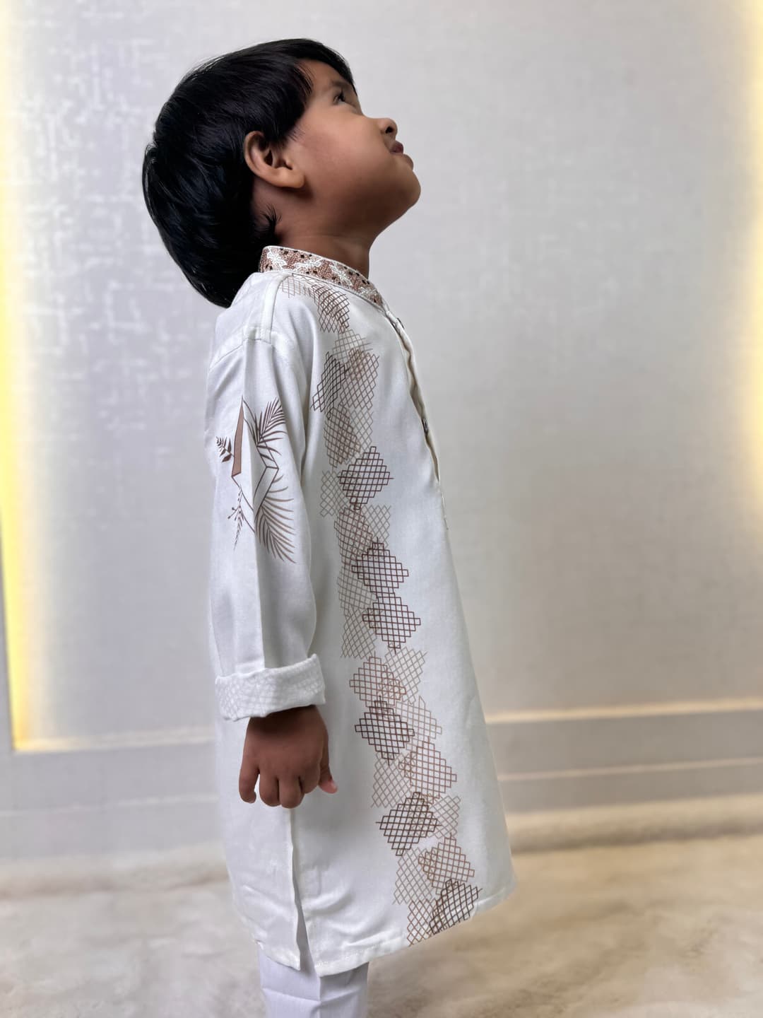 AF-0979 alternate view