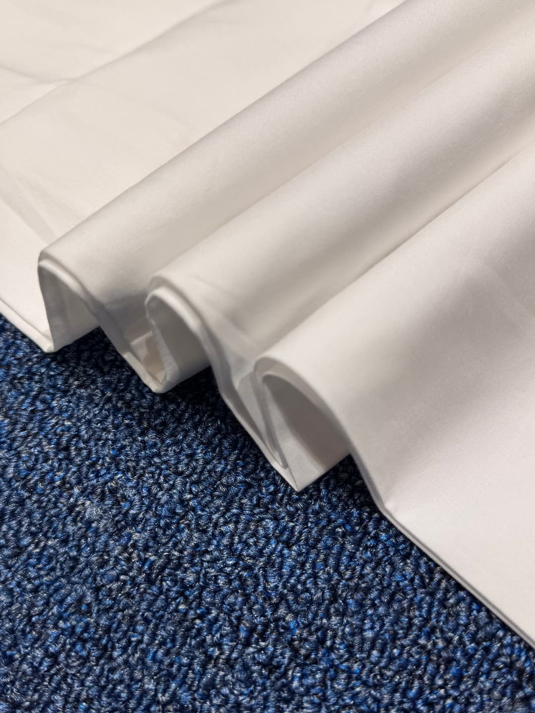 AF-0779 alternate view